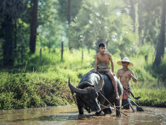 Laos rural Laos rural
