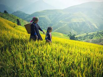 Escena rural en laos