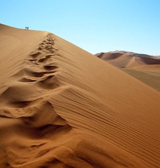 Desierto de Sossusvlei Desierto de Sossusvlei