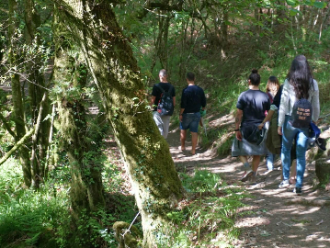 bosque galicia