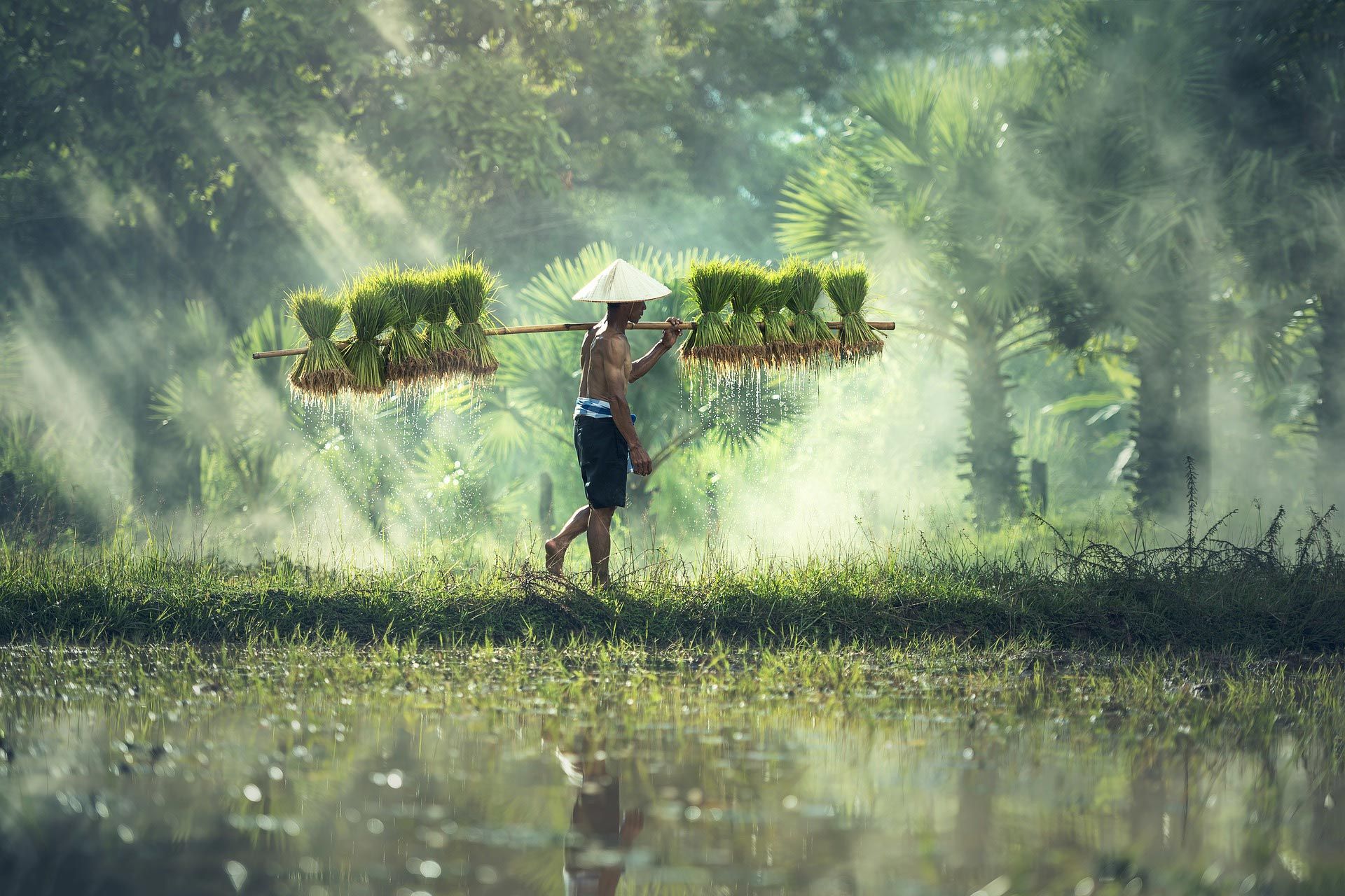 El mundo rural Tailandes