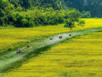 Tam Coc